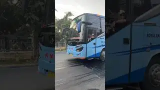 Pemain lintas Sumatera Po A.N.S | #bussumatera #busmania #busans #shorts