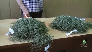 2024. 02. Мегион.  Помощь бойцам