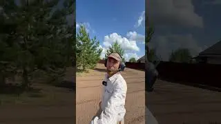 Сосны-красавицы. Быть им среди газона. Докатили обьект вместе с @Tehnarnya