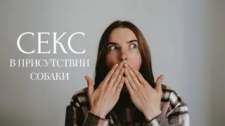 Секс в присутствии собаки 😱