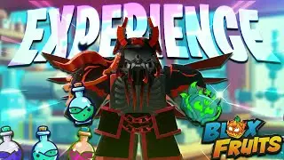 Je test les expériences les plus débiles de blox fruit !