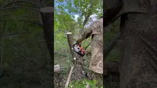 Цепь для БЕНЗО И ЭЛЕКТРОПИЛЫ VertexTools 