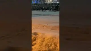 Снежная крыса 🐀