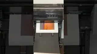 Printing a 1.2m wide panorama of Telstra Tower at sunset. #photography #epsonprinter #sunset