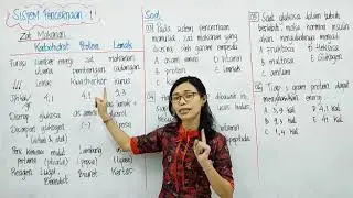 SISTEM PENCERNAAN 1 | BIOLOGI | KELAS 11 IPA | PART 1