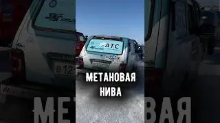 Метановая Нива на Жигулёвской миле #4х4 #niva #lada4x4 #нива #offroad #лада #lada