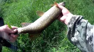 Душевная рыбалка на микро реке !