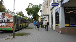 Прогулочка. lV 2016. P. 7