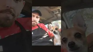 What would You do??