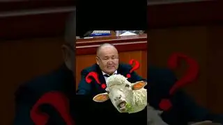 Эшек салыктан бошотулду! 