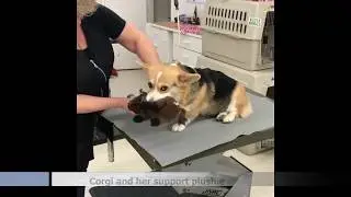 Best gifs compilation #23