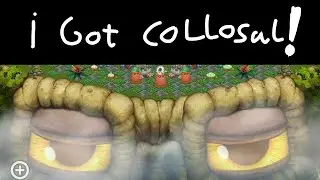 I got colossal in msm