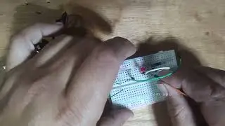 Proyecto No. 8 - Segundo Grado