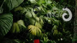 Sound - Blizzard A | AudioJungle Download