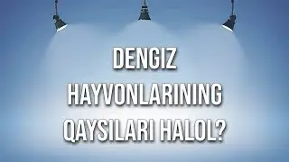 Dengiz hayvonlarining qaysilari halol? (Shayx Sodiq Samarqandiy)