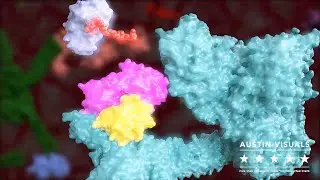 Molecular 3D Animation - Austin Visuals 3D Animation Studio