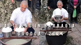 Ovodda 2024 /#2024shorts #autunnoinbarbagia