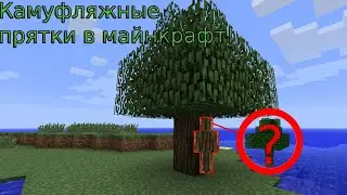 Камуфляжные прятки в Minecraft #1 #майнкрафт #minecraft #прятки #пряткимайнкрафт #пряткивмайнкрафт
