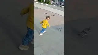 29 октября 2023 г.