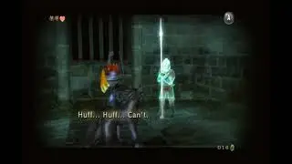 The Legend of Zelda: Twilight Princess (Wii) Gameplay