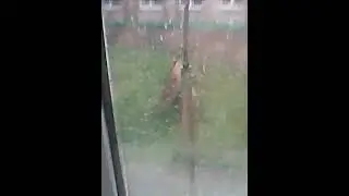 депрессия в шмаге