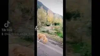 vamos a ver si el río creció después de la lluvia (pre cordillera del Maule)