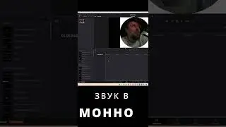 HOW TO SET MONO SOUND Davinci Resolve #diskord #davinciresolve #blackmagik #monosound