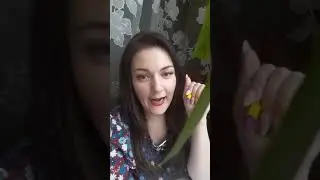 КАКОЙ ИЗГИБ РЕСНИЦ ПОДОБРАТЬ НА ВВЕРХ РАСТУЩИЕ РЕСНИЦЫ