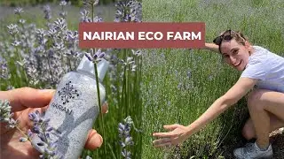 Behind the scenes of NAIRIAN’s eco farm