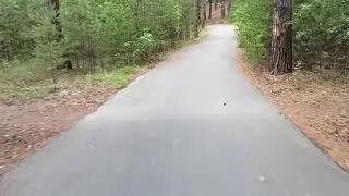 На лыжероллерах по лесу. стабилизация видео