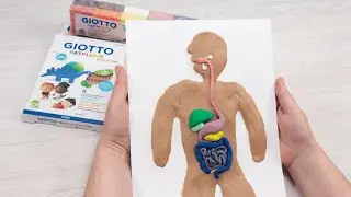 Maquete do Aparelho Digestivo e o seu processo - Manualidades para crianças