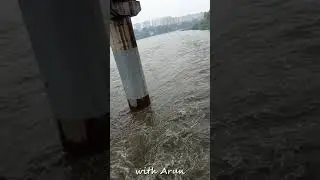 Chennai rain today live news | Water 4m Chembarambakkam lake to Adayar river 8 #shorts #சென்னை #மழை