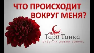 ЧТО ПРОИСХОДИТ ВОКРУГ МЕНЯ ИЛИ ЗА МОЕЙ СПИНОЙ