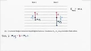 Fizik Sınav Soru Çözümü 1b: Makaralar (Fizik)