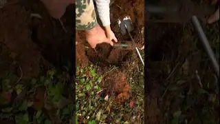 Нашли Шнапс! #relics #metaldetecting #алкоголь #история #wwii #alcohol