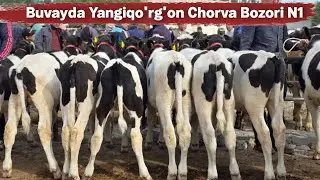 Ashaddiy Obunachilar Uchun Yangiqo'rg'on Mol Bozori Narxlar