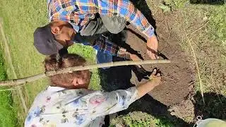 Работаем и отдыхаем на даче.