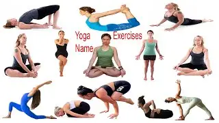 Yoga Exercise Name & Image | Necessary Vocabulary Tutorial