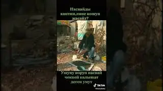 Сиз чеккен насвай кантип жасалат ??? 