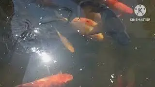 Июнь. Море. Отче наш