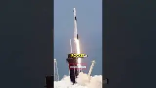 Elon Musk’s SpaceX Rockets: The Tesla Experience in Space