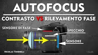AutoFocus - Tutto quello che DEVI sapere per la fotografia