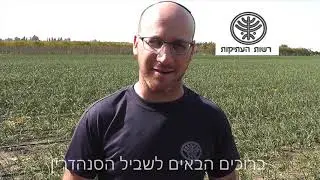 שביל הסנהדרין - רשות העתיקות