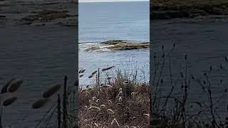 Релакс, море и шум набегающих волн.           