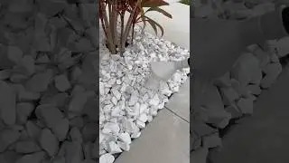 Rocks won’t stay put? 🪨 #gardening #lawn #garden #landscape #fyp