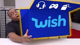 They Gave Me $500 to Spend in the Wish App, So….