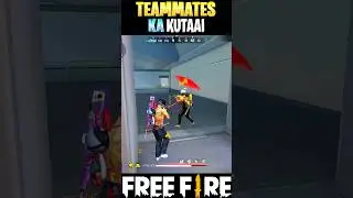 Teammates Ka Kutaai 🤣#shorts #freefire #garena