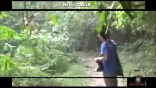 ELEFANTE CARICA MA NON SA LA REAZIONE DELL'UOMO  UNICO NEL SUO CASO