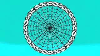 Spider web _ HD Background Videos No copyright Free