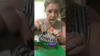 Все профессии важны
